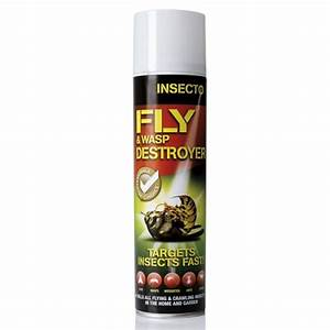 Insecto Pro Formula Fly & Wasp Destroyer - 300ml