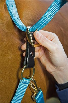 Aviemore Headcollar Breakaway Attachmnt 1 Inch.