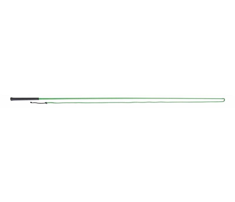 Lunging Whip Assorted