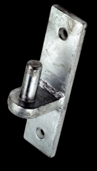 Eliza Tinsley 3/4 inch Pin Galvanised Hook on Oblong Plate