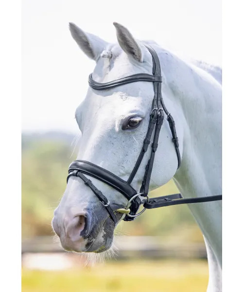 Rapida Flash Bridle BLACK