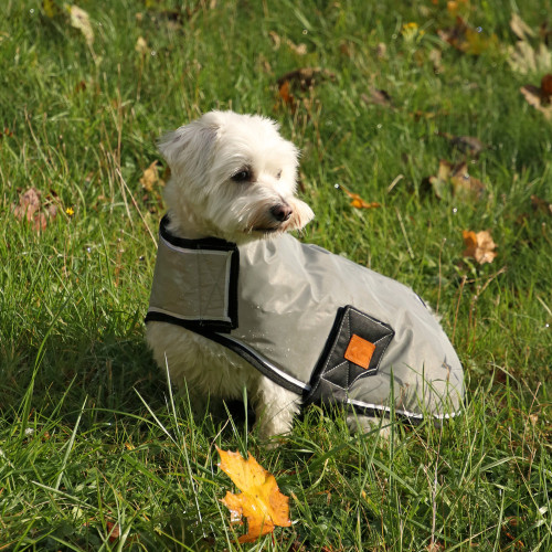 Benji & Flo Silva Dog Coat Black/Sliver