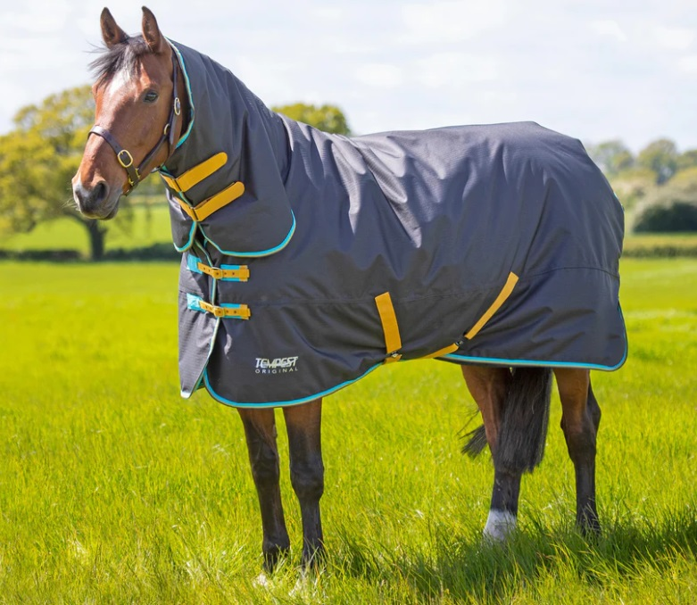 Tempest Original 300g Combo Turnout Rug