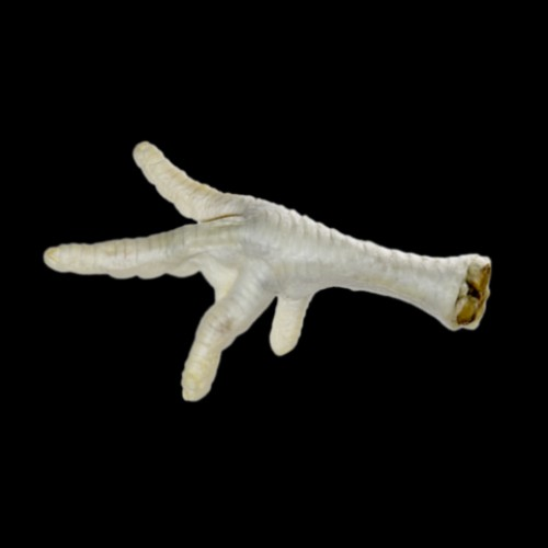 Puffed Chicken Foot