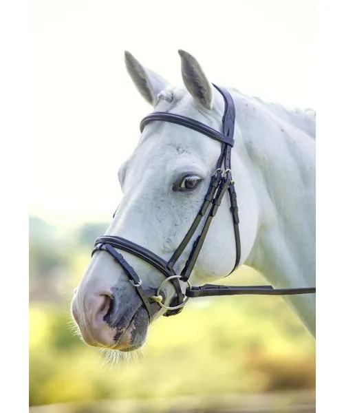 RAPIDA Raised Flash Bridle HAVANA