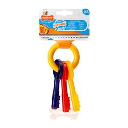 Nylabone Puppy Teething Key XS