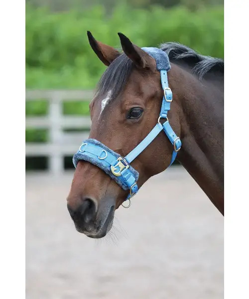 Fleece Cavesson Blue