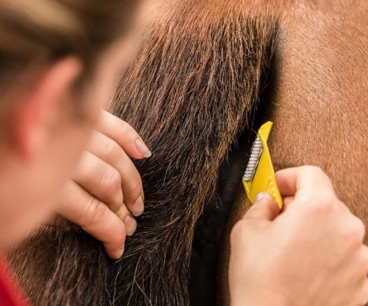 Smart Grooming Equi - Shave