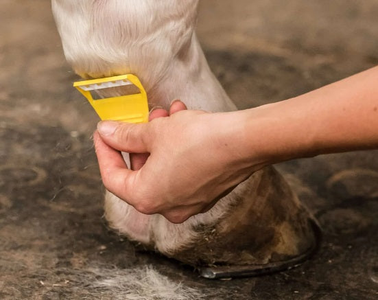 Smart Grooming Equi - Shave