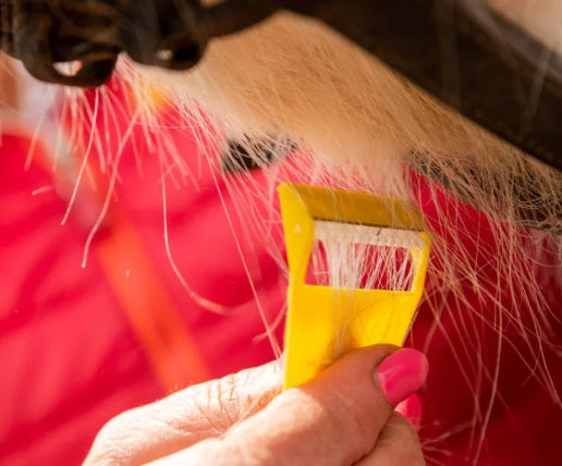 Smart Grooming Equi - Shave