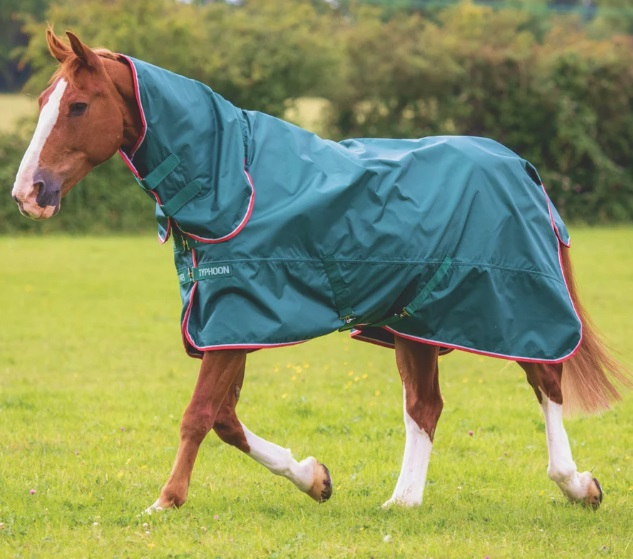 Typhoon Lite Combo Turnout Rug Green