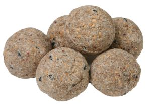 Bucktons 6 Pack of Fat Balls