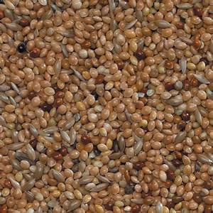 Bucktons Special Budgie 500g