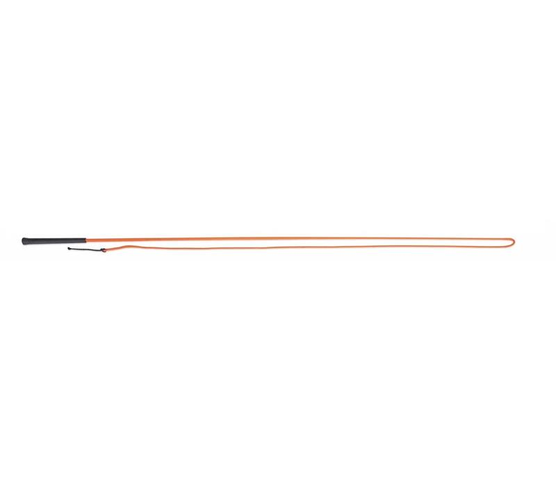 Lunging Whip Assorted