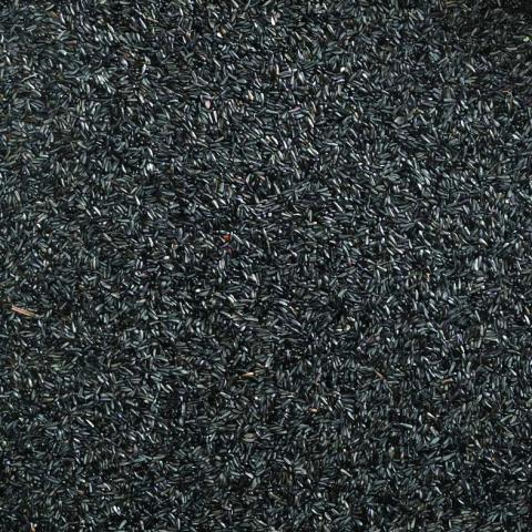 Bucktons Nyjer Seed 12.55kg