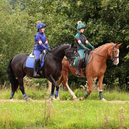 Conditioning Horse and Pony Feeds