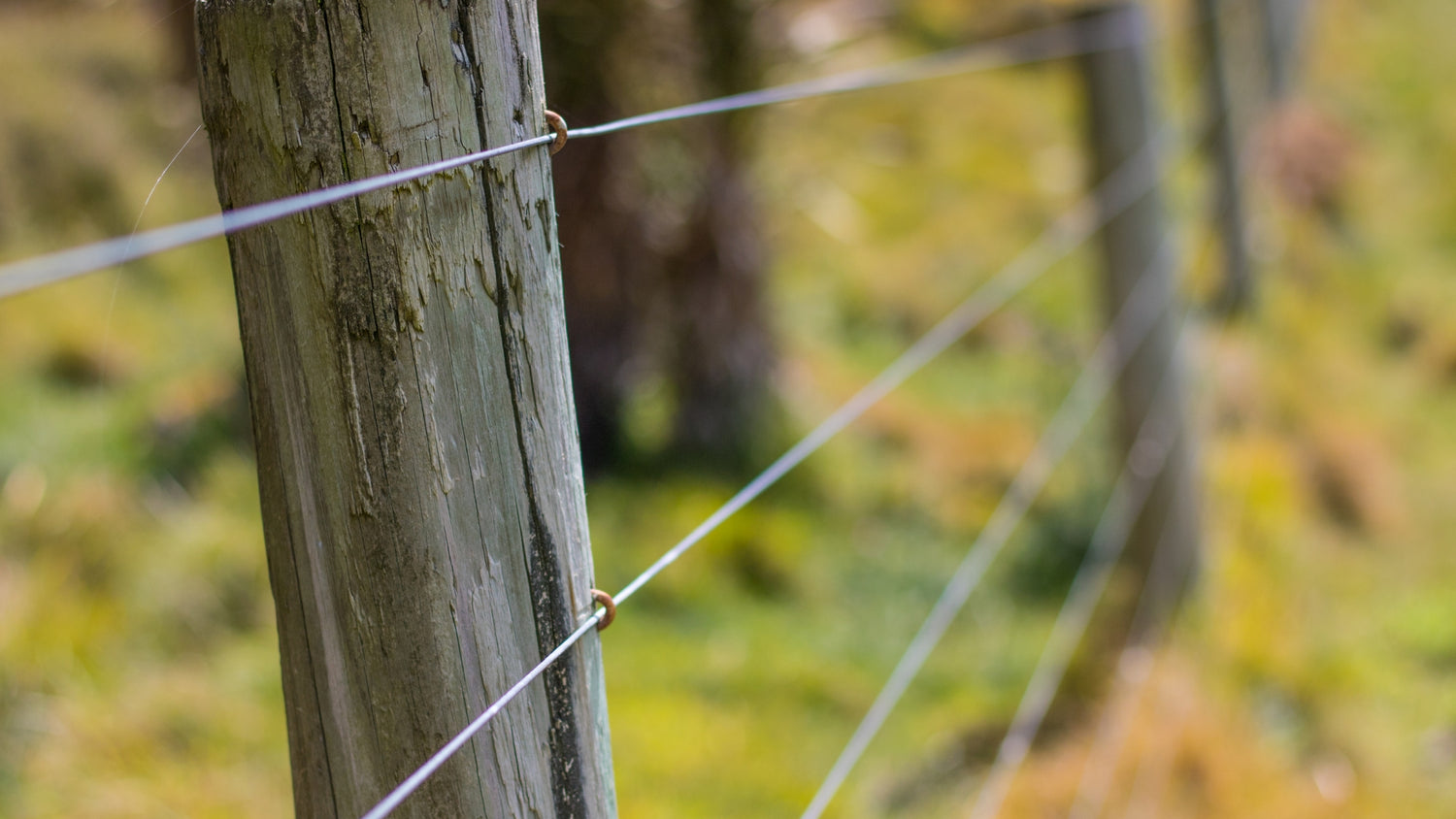 Fencing & Outdoor