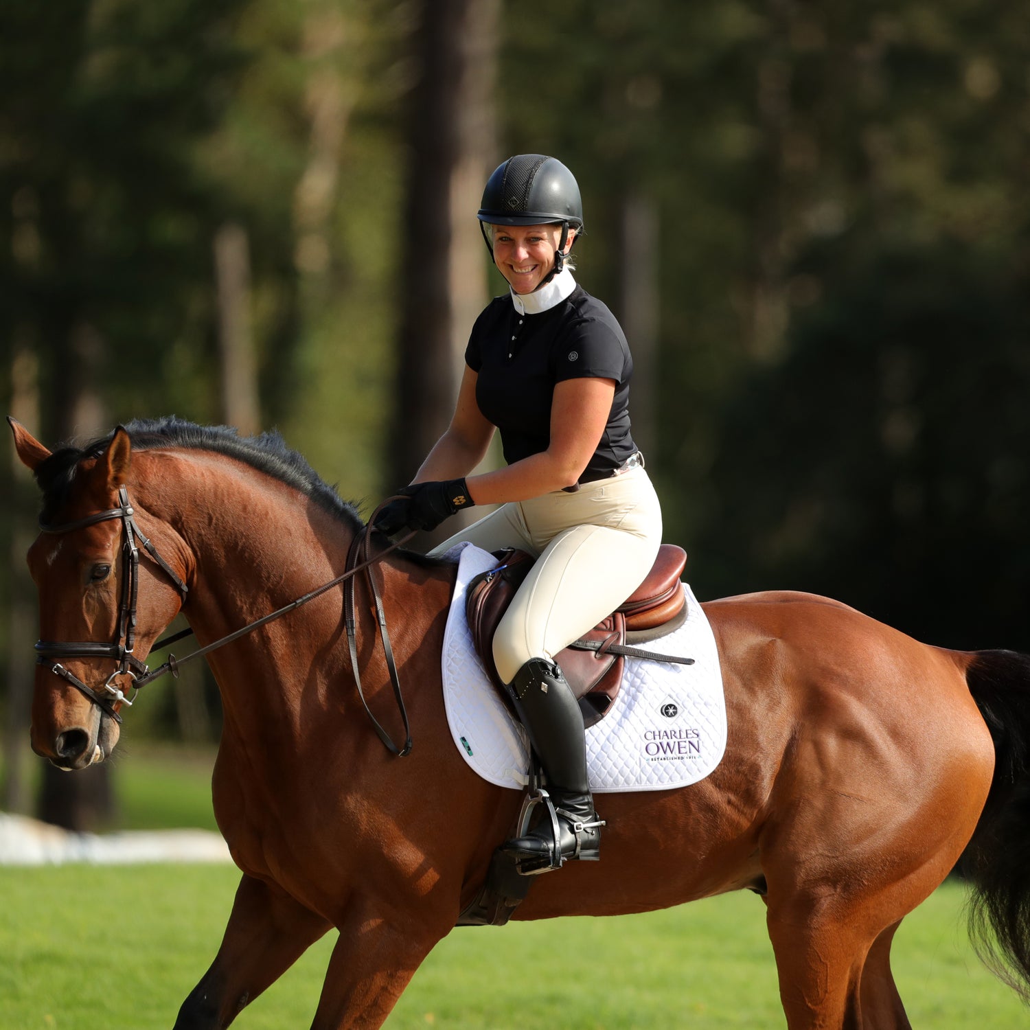 Horse Tack & Equipment