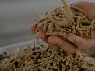 Sheep Feed