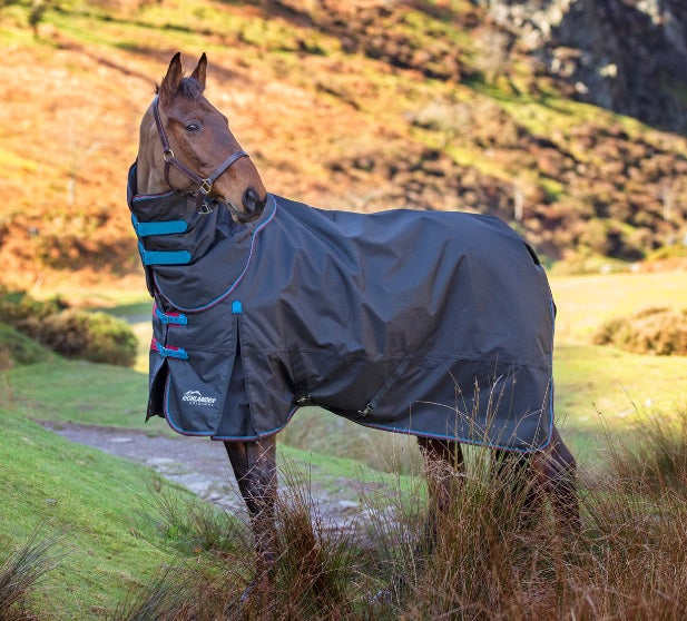 Horse Rugs