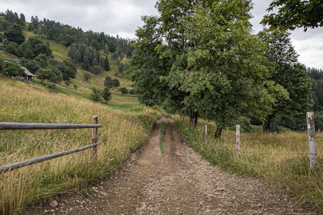 Wooden Posts & Rails
