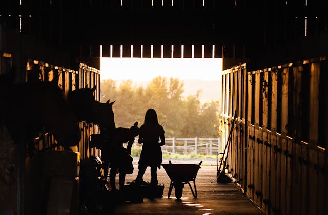 Yard & Stable
