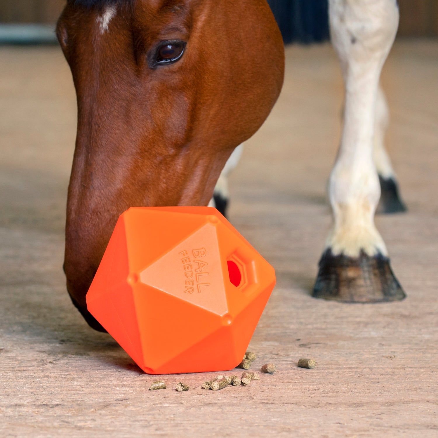 Yard & Stable Boredom Breakers