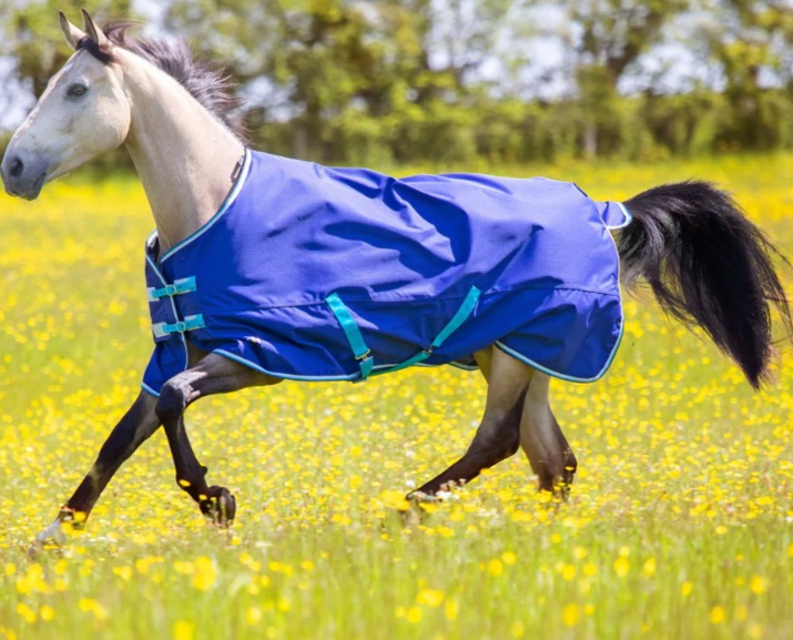 Tempest Original 100g Turnout Navy