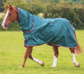 Typhoon Lite Combo Turnout Rug Green