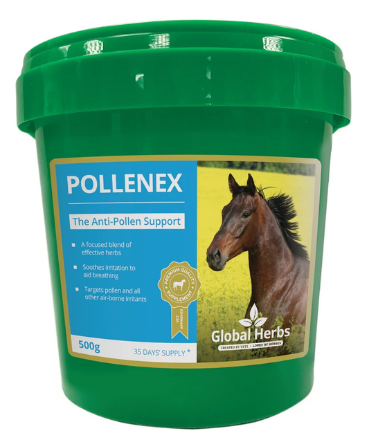 Global Herbs Pollenex 1kg