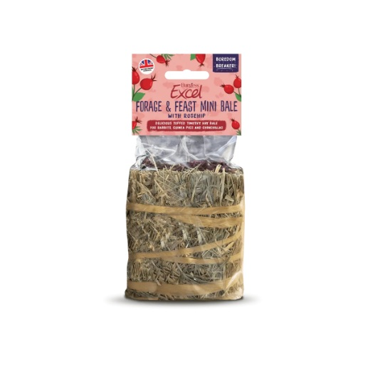 Burgess Excel Forage & Feast Mini Bale With Rosehip