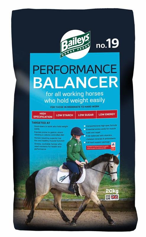 Baileys No.19 Performance Balancer 20kg