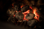 Brazier Coal 20kg