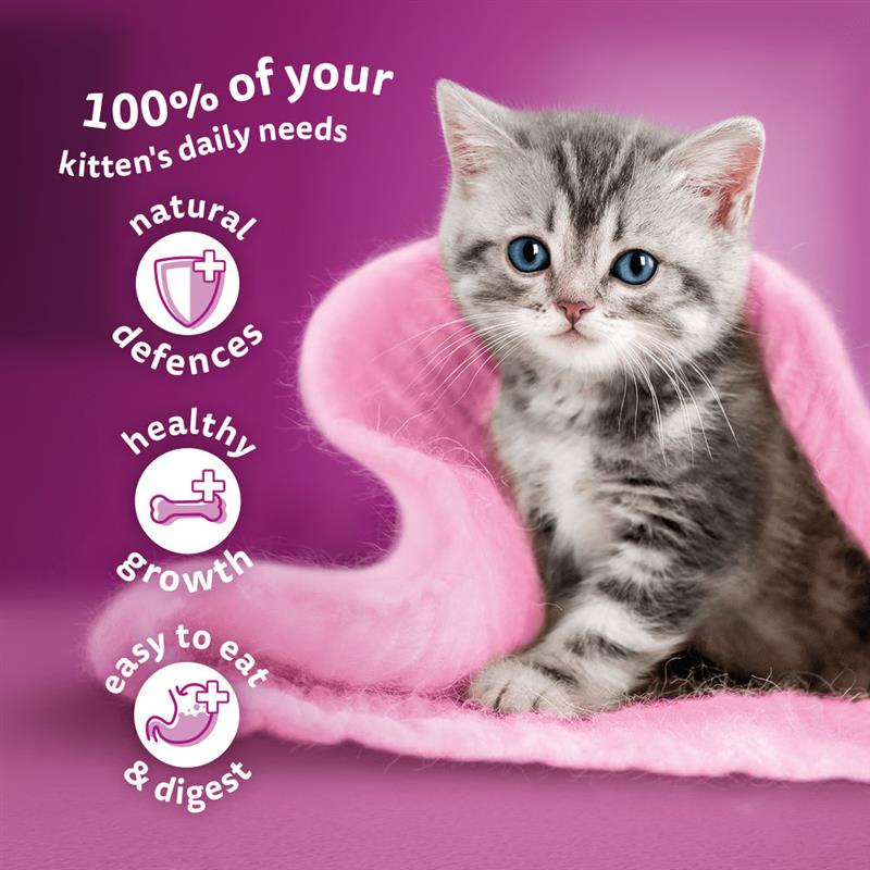 Whiskas Kitten Poultry Jelly 12 x 85g Pouches