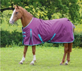 Bridleway Ontario 220g Turnout Rug Berry