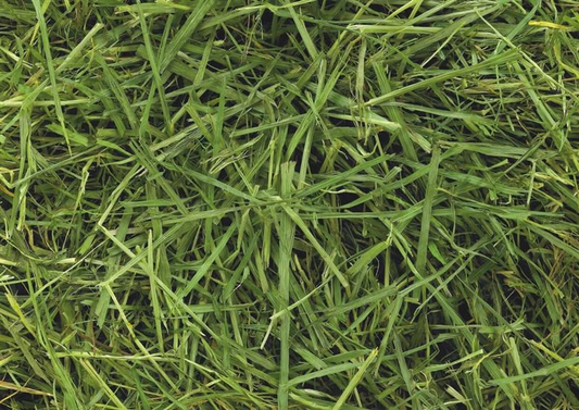 Readigrass 15kg