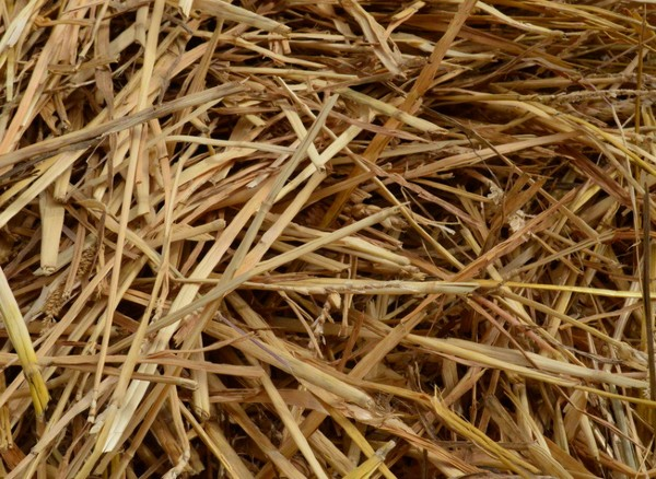 Straw Bale