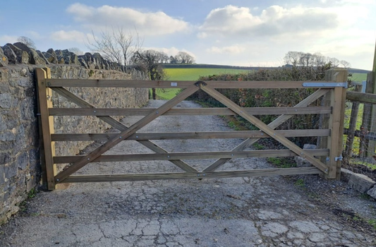 No.25 12FT Dual Hanging Standard Diamond Gate