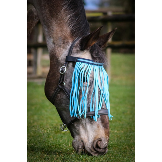 Gallop Fly Fringe