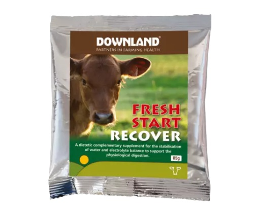 Downland Fresh Start Recover 12 x 85g