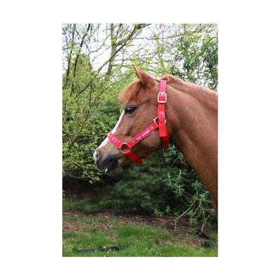 HY Christmas Headcollar & Rope