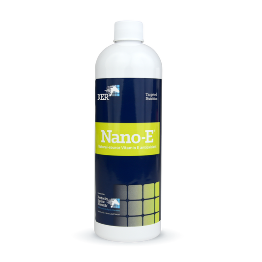 Saracen Nano E 450 ml