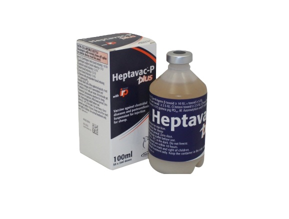 Heptavac P Plus 100ml - Collection or local delivery only.
