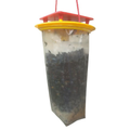 Redtop Mini Fly Trap