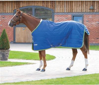 Tempest 100 Stable Rug