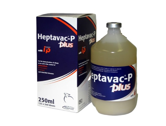 Heptavac P Plus 250ml