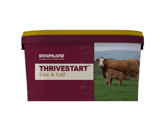 Downland Thrivestart Cow & Calf Lick 20KG