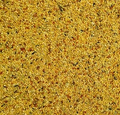 Bucktons Foreign Finch 2Kg