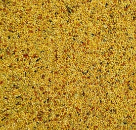 Bucktons Foreign Finch 2Kg