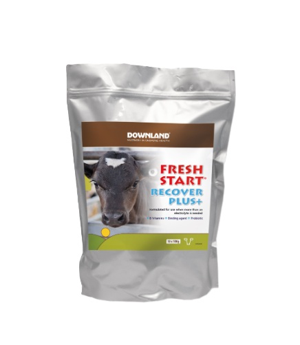 Downland Fresh Start Recover Plus 10x100g